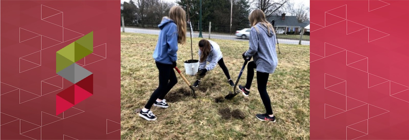 Students from Upper Arlington’s Jones Middle School plant trees at Ohio State's golf course