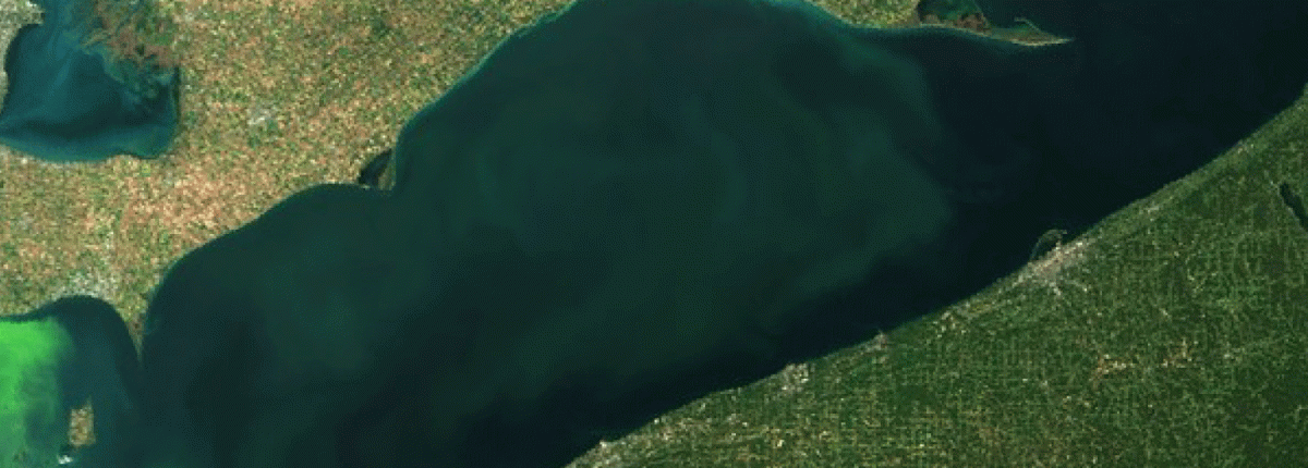 Lake Erie algal blooms 