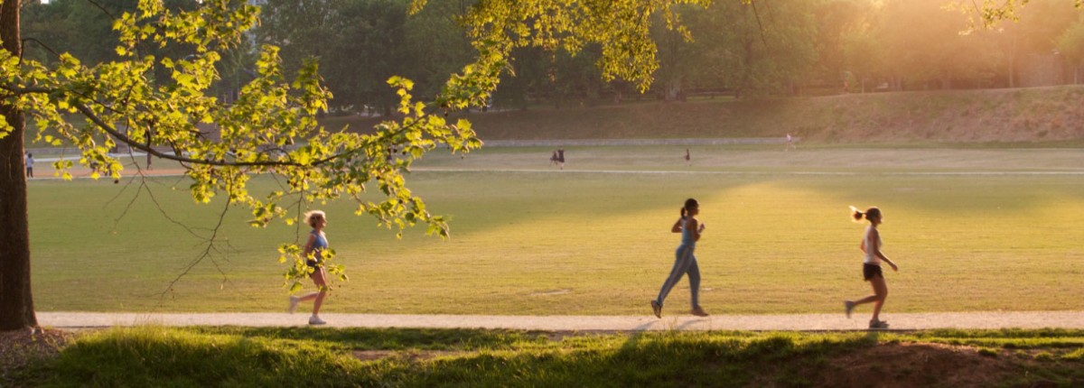 Atlanta's Piedmont Park where people are running during sunset. 