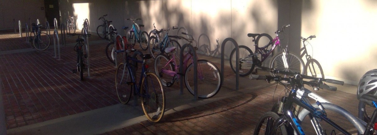 Bikes parked at the new bike racks at Kottman Hall. 