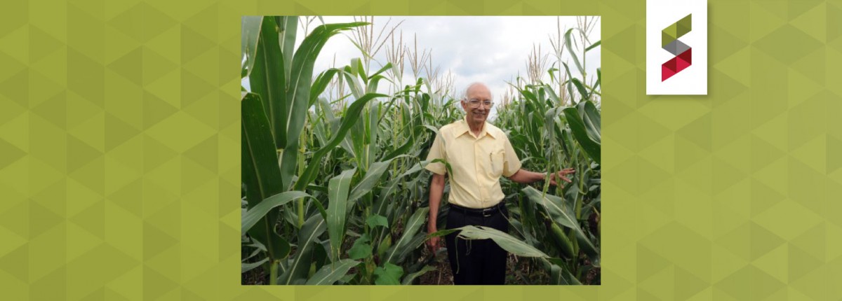 Dr. Rattan Lal in cornfield