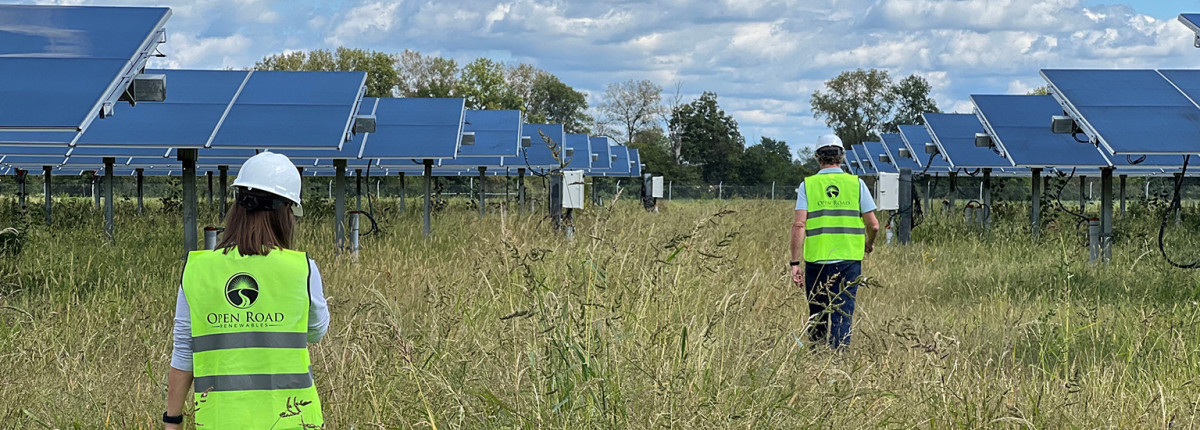 Solar energy workers walk in an agricultural field between solar panels.