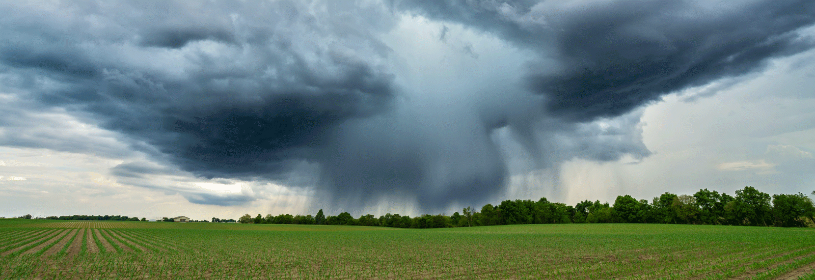 Storm in a field.