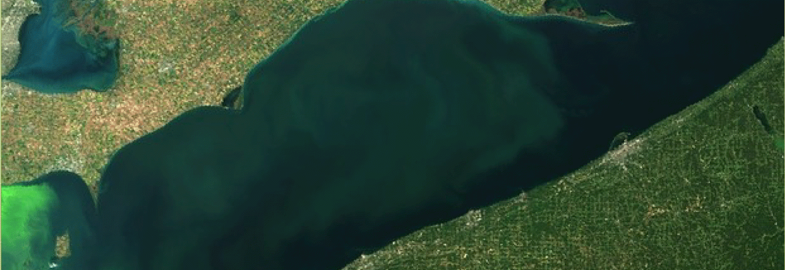 Lake Erie algal blooms 