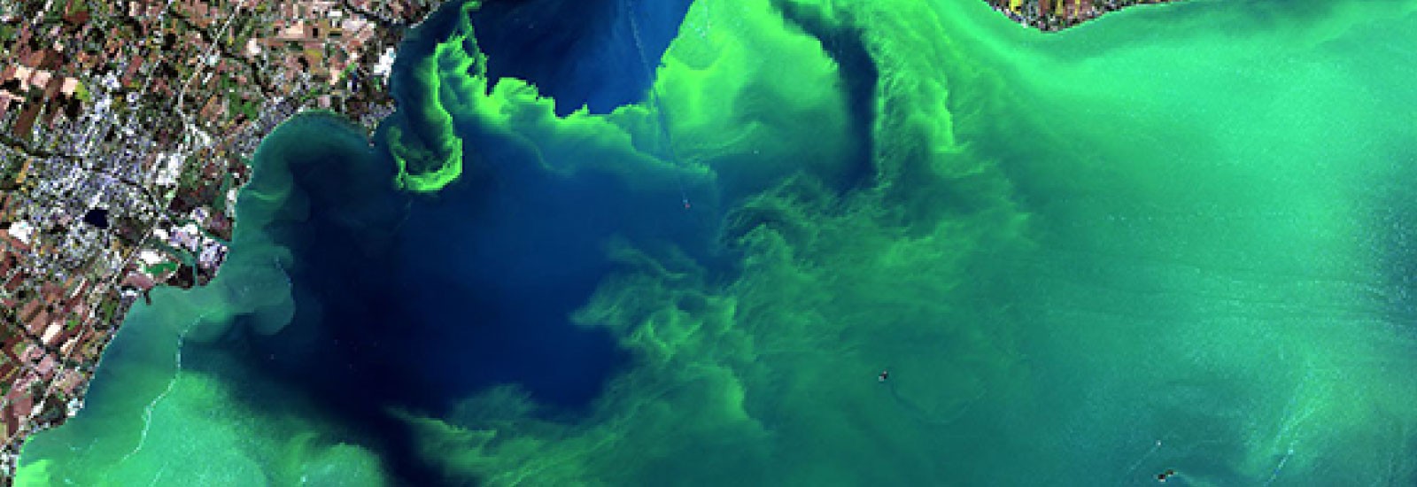 A Western Lake Erie harmful algal bloom from September 26, 2017. The scum shown here near downtown Toledo stretched all the way to Lake Ontario.