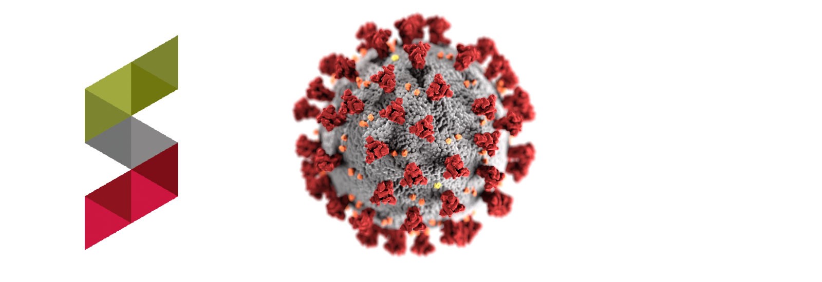 The Sustainability S logo next to an image of the coronavirus 