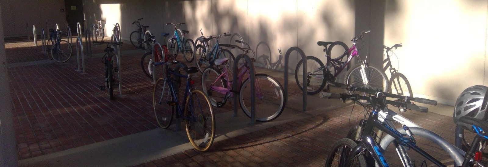 Bikes parked at the new bike racks at Kottman Hall. 
