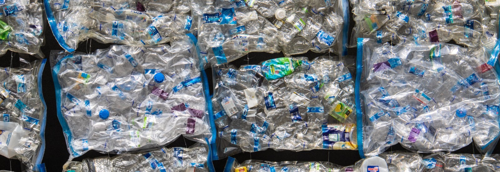 Plastic water bottles in the process of being recycled.