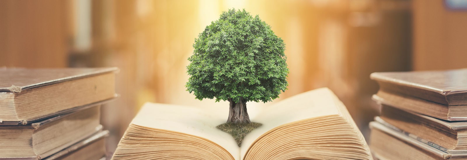 tree in book