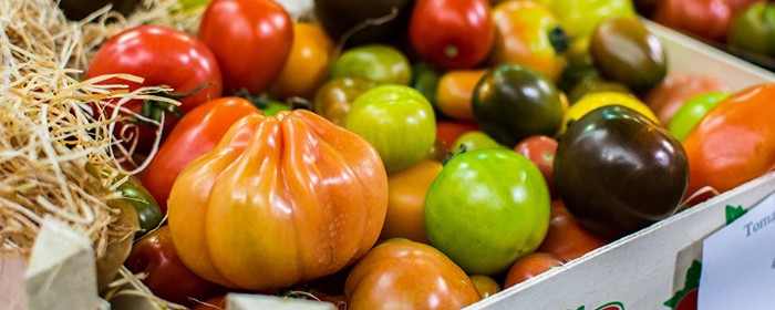 colorful tomatoes on a market table