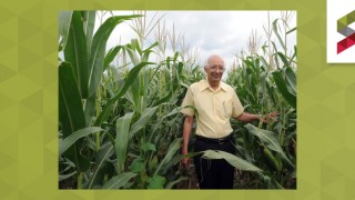 Dr. Rattan Lal in cornfield