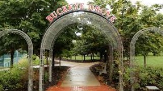 Buckeye Grove entrance