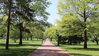 Ohio State Columbus campus with path leading through trees.