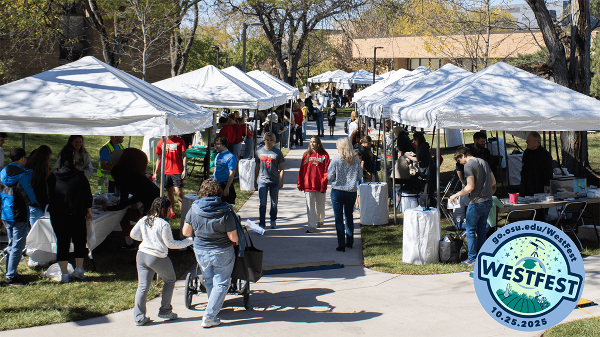 People visiting display tents