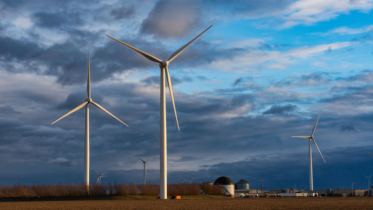 Wind turbines in agricultural field