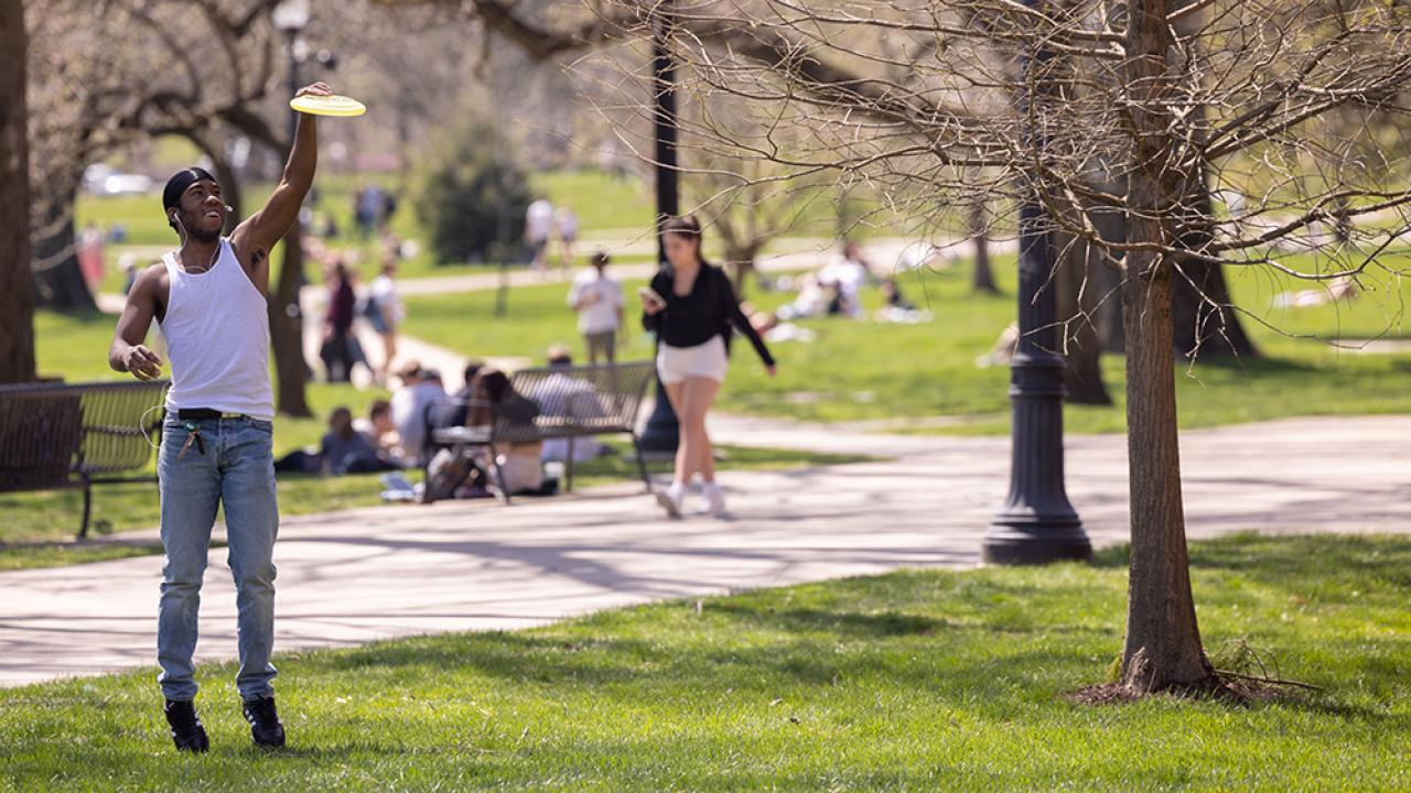 Students playing frisbee in grass
