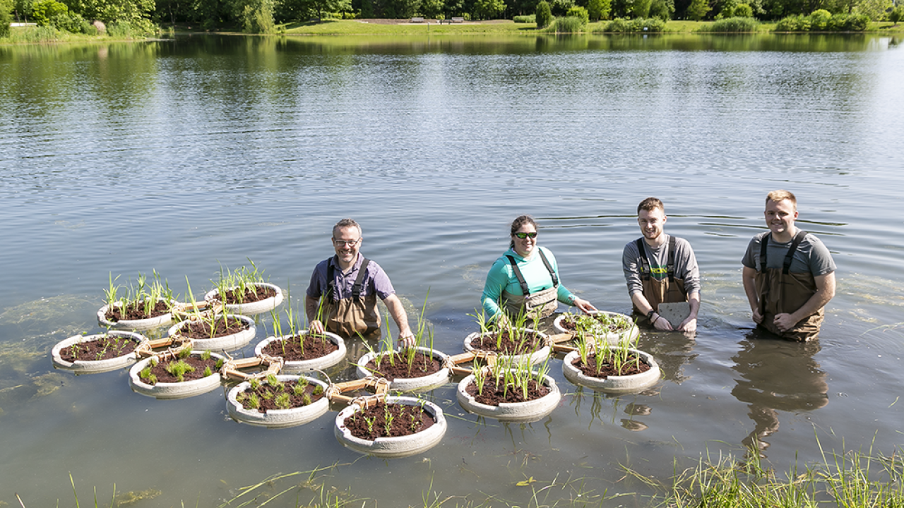 Researchers in water with floating islands