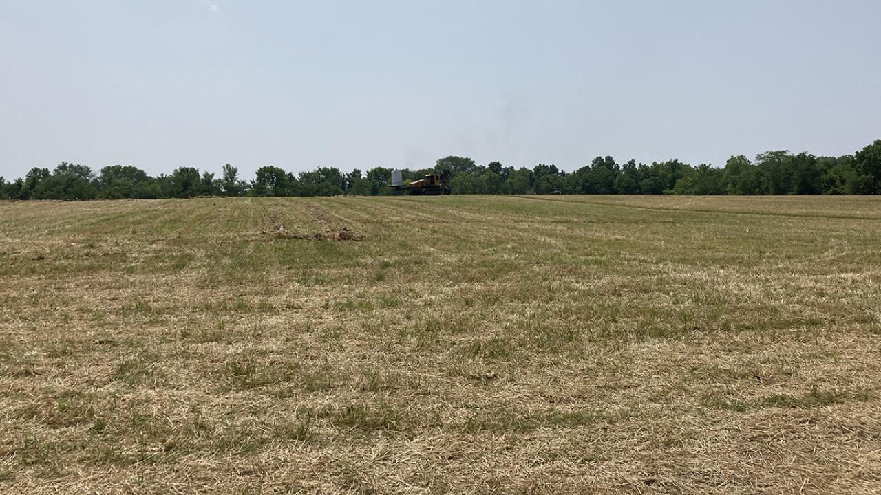 Agricultural field