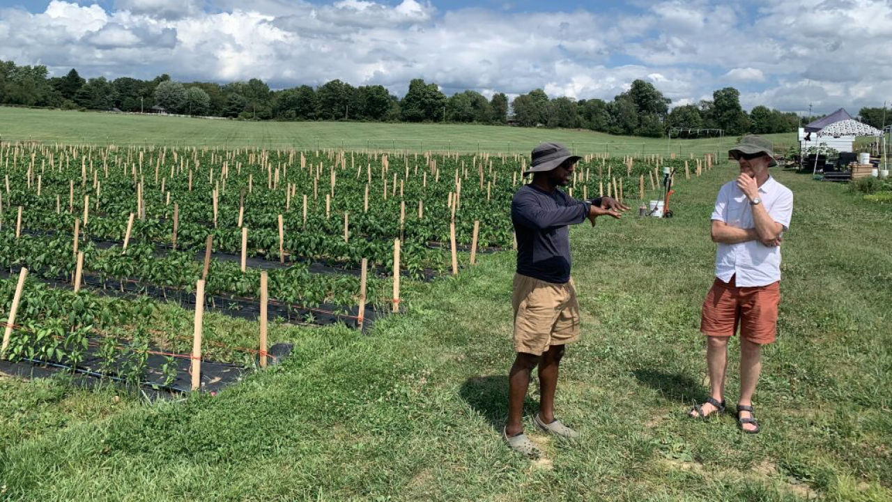 Two people talking next to agricultural field