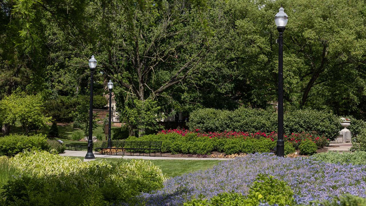 Walking paths through garden