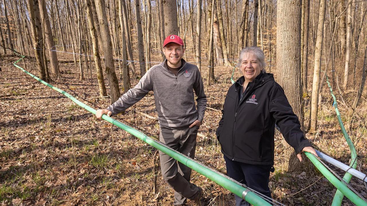 Two people stand near syrup tubes in woods